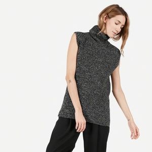 Everlane Chunky Wool Sleeveless Turtleneck